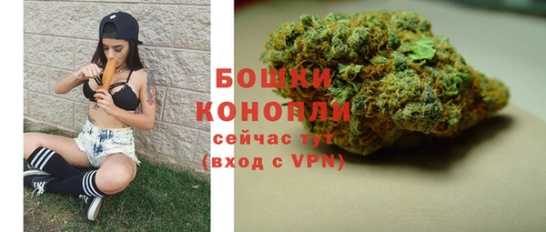 трава Новокубанск